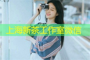 上海明星演唱会